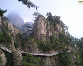 仿生棧道